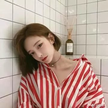玻璃之花与坏掉的世界