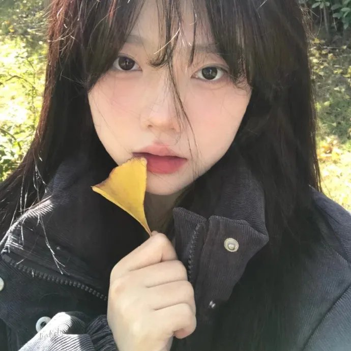崖上的波妞